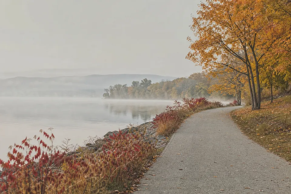 A lakeside path in autumn colours with mist on the water